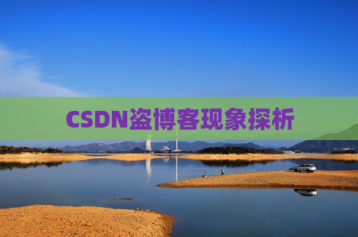 CSDN盗博客现象探析 CSDN盗博客现象探析
